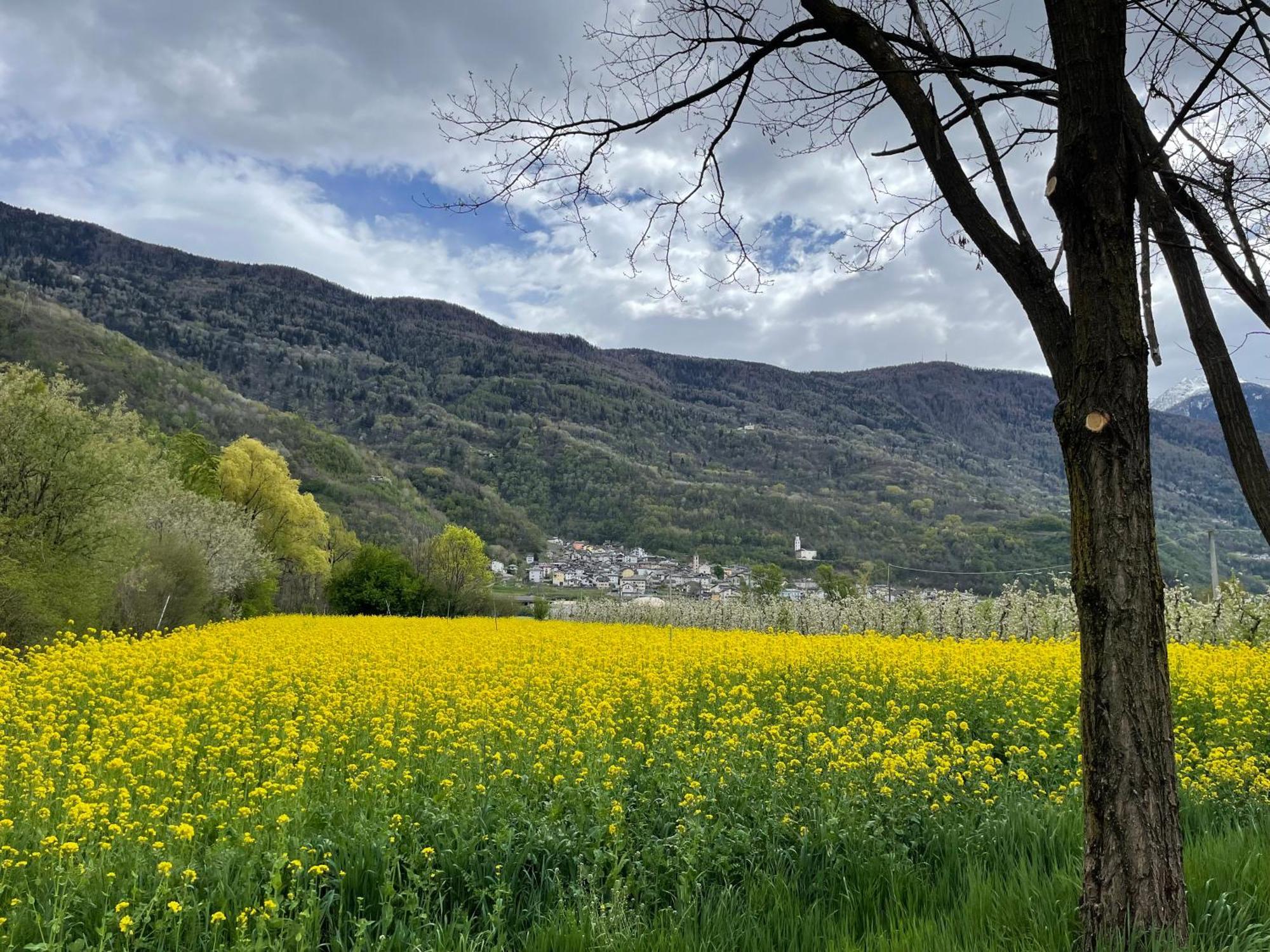 Ca Marasciol A 5 Minuti Dal Trenino Rosso Del Bernina Express Hotell Villa di Tirano Exteriör bild